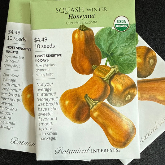 Squash Winter seeds 'Honeynut