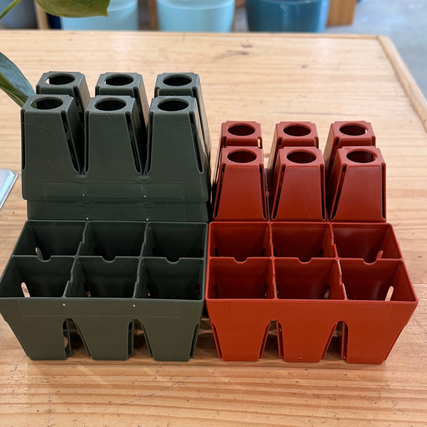 6 Cell Starter Pot