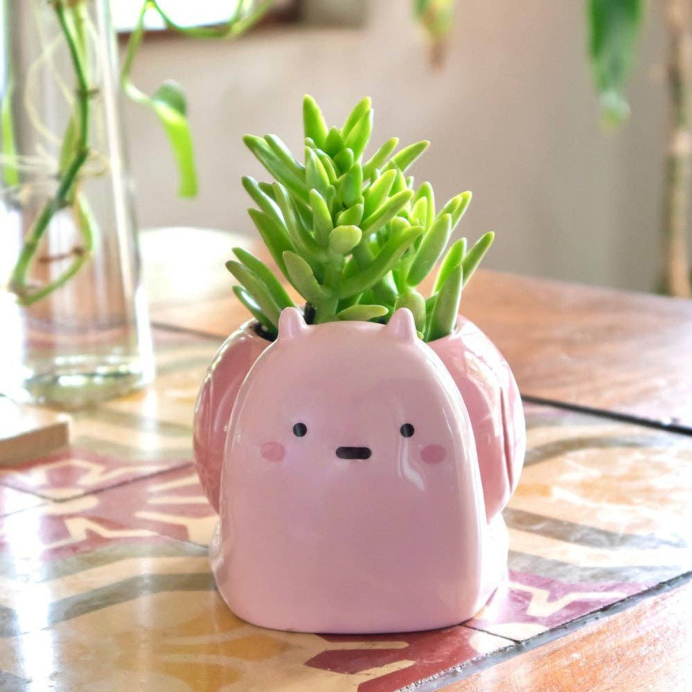 Snail Planter