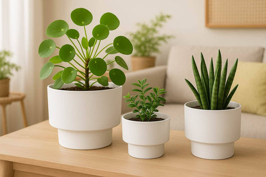 Elevated Plastic Planter