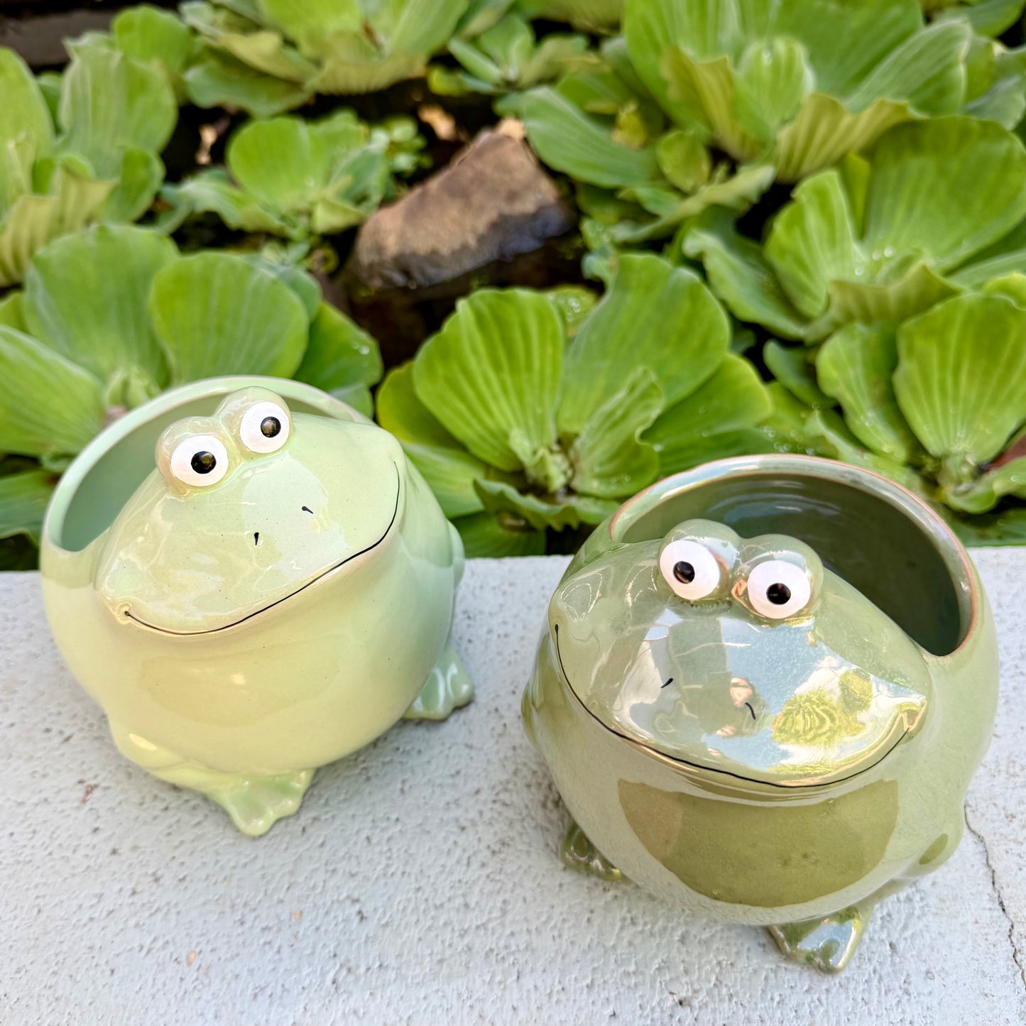 6" Frog Planter
