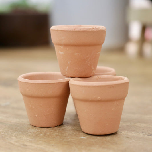 Terracotta Planter