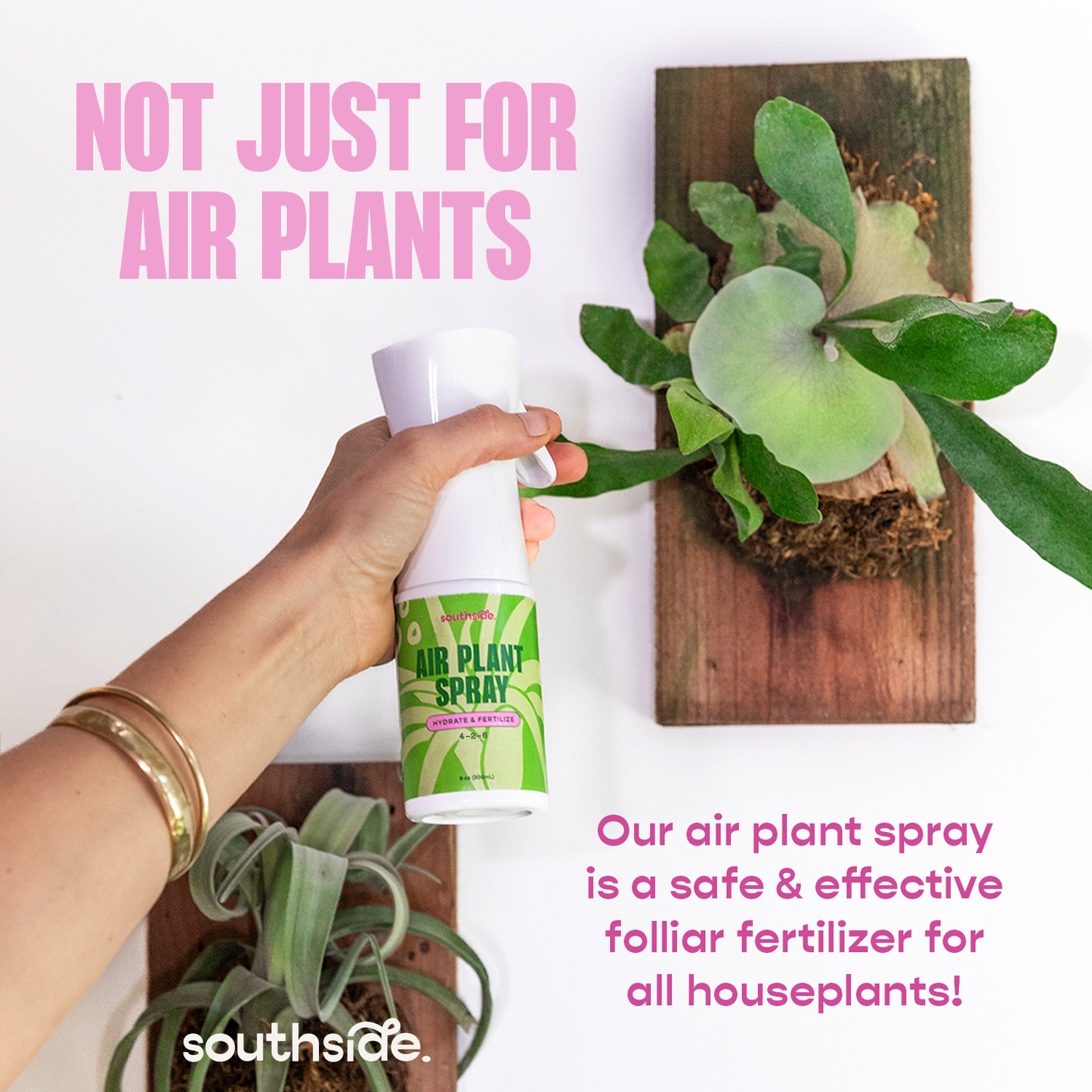 Air Plant Fertilizer - Spray and Soak
