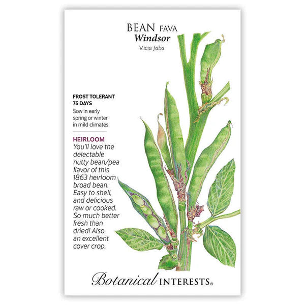 Cover Crops Seeds