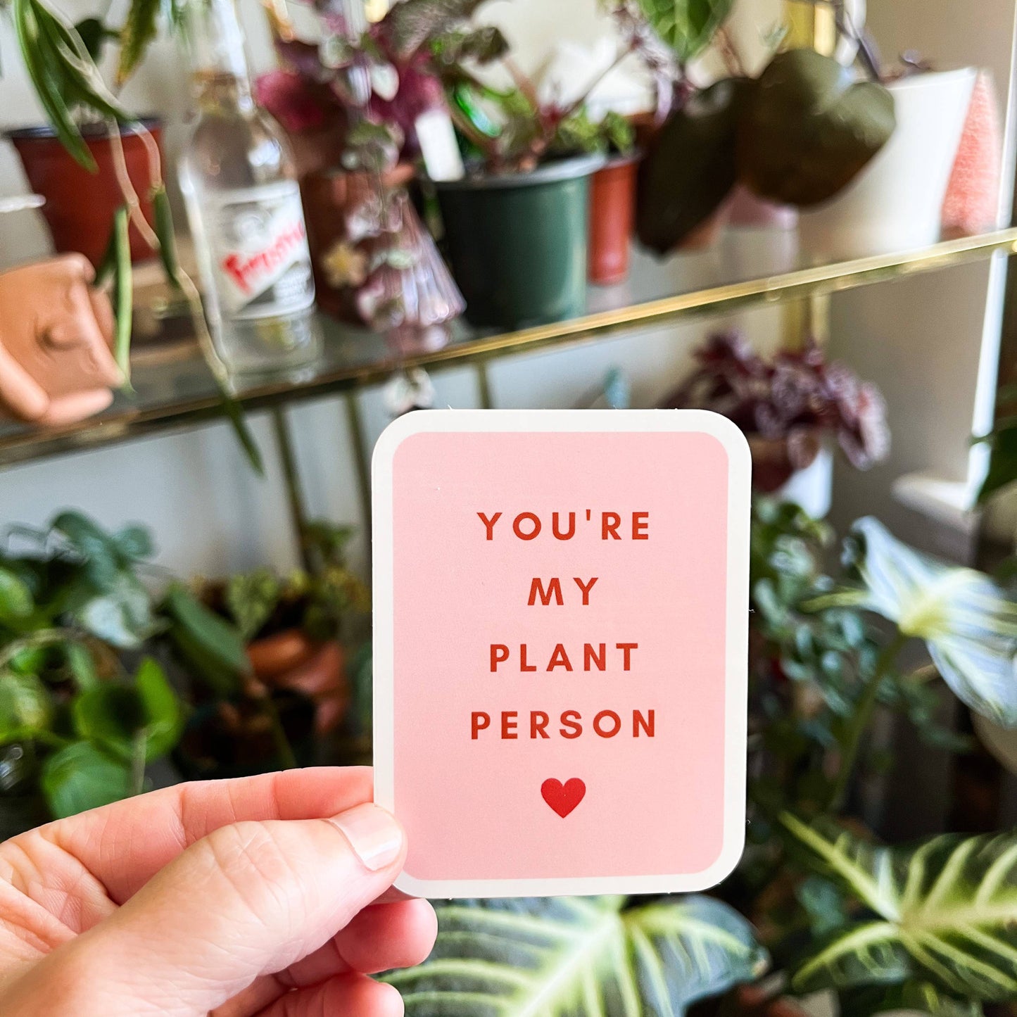 You're My Plant Person (Pink) Sticker