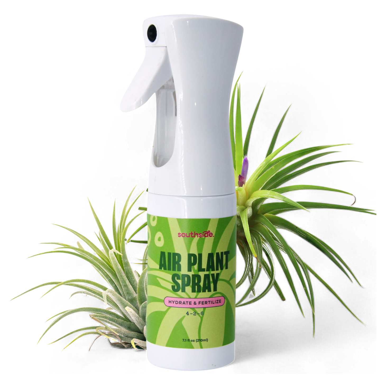 Air Plant Fertilizer - Spray and Soak