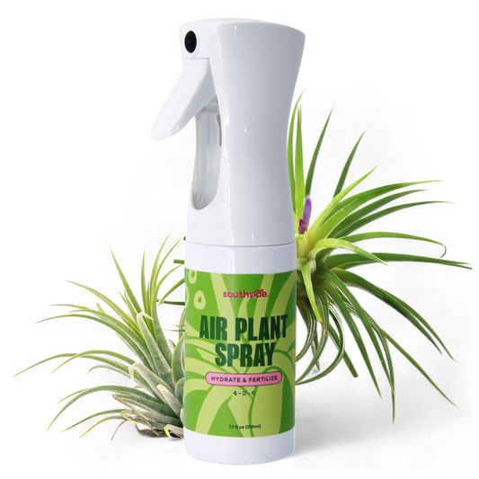 Air Plant Fertilizer - Spray and Soak