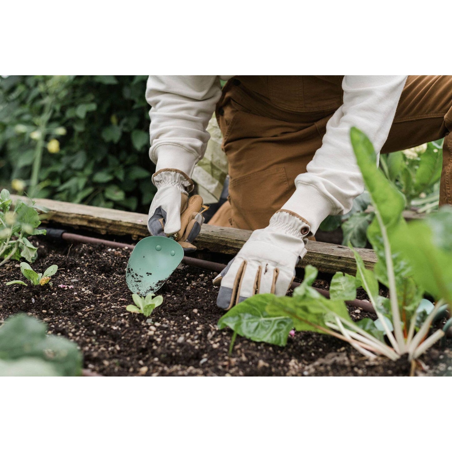 Garden Scoop