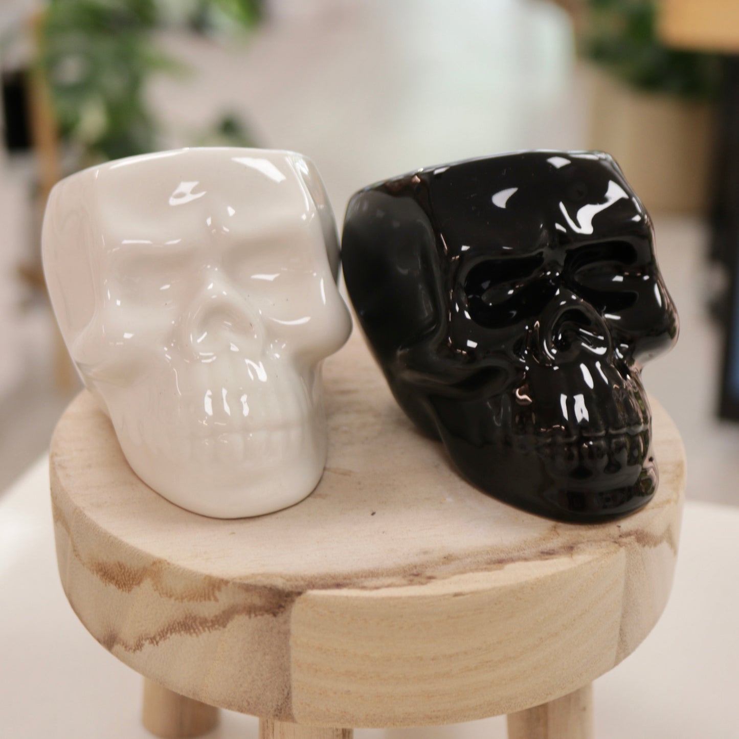 Ceramic Skull Planter