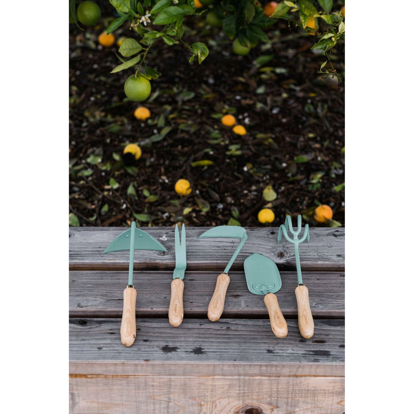 Dandelion Weeding Fork