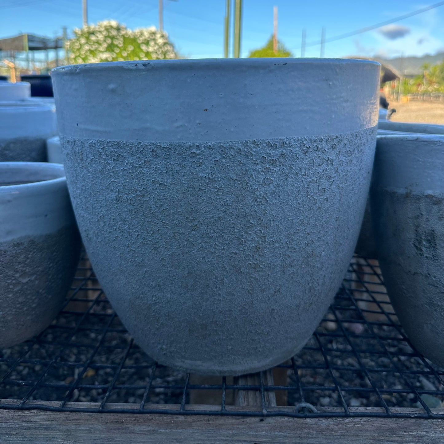 large ceramic planter pots for sale White Coral Ceramic Planter – Mari's Gardens