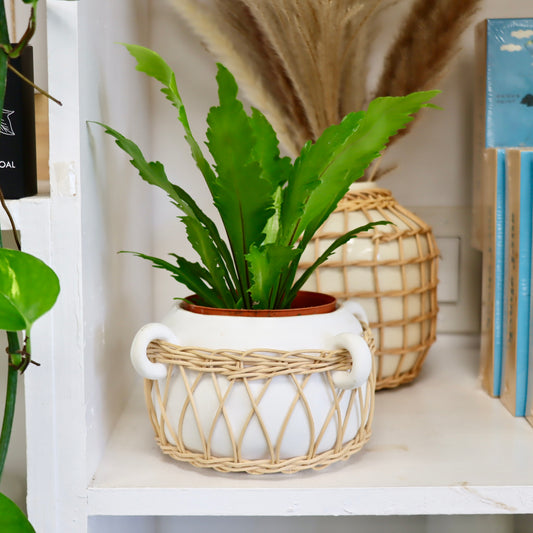 7" Wicker Hemmed Planter