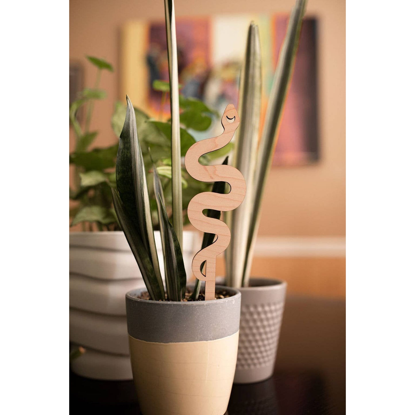 Snake Plant Trellis