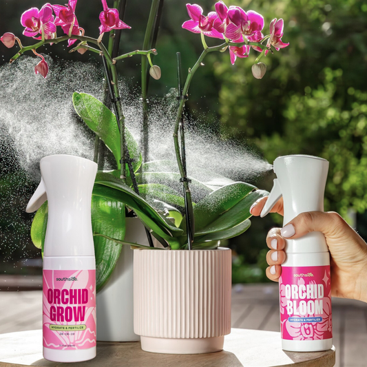 Orchid Grow and Bloom Sprays