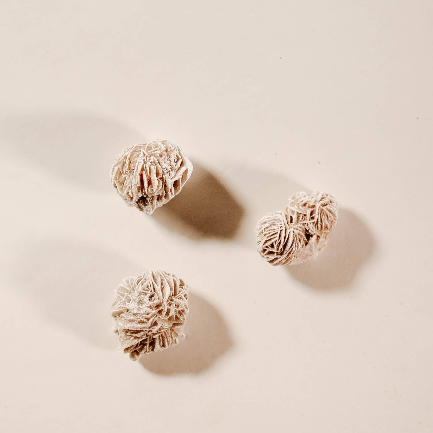 Gypsum Desert Rosettes