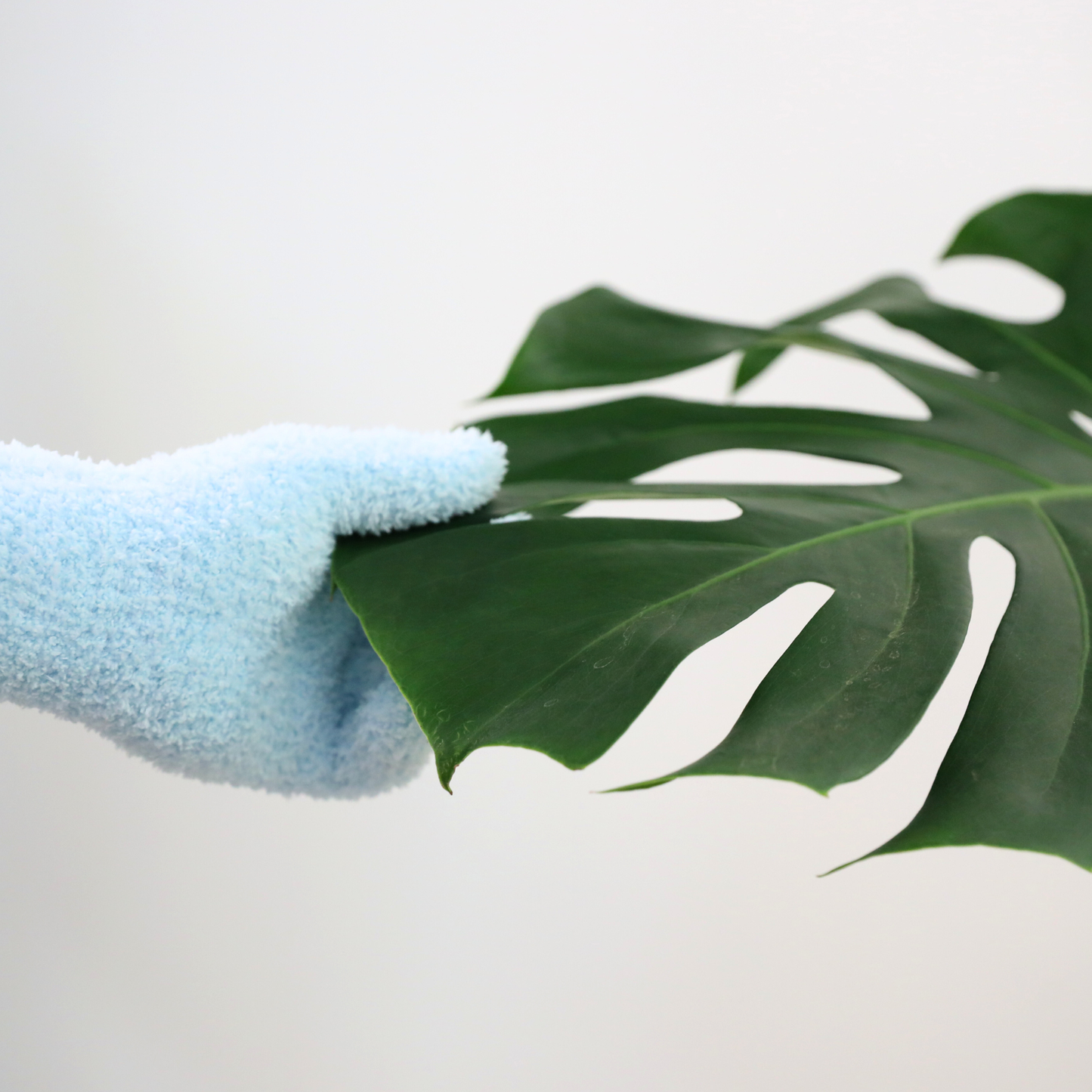 Microfiber Gloves – Reusable Leaf-Shining Gloves for Plant