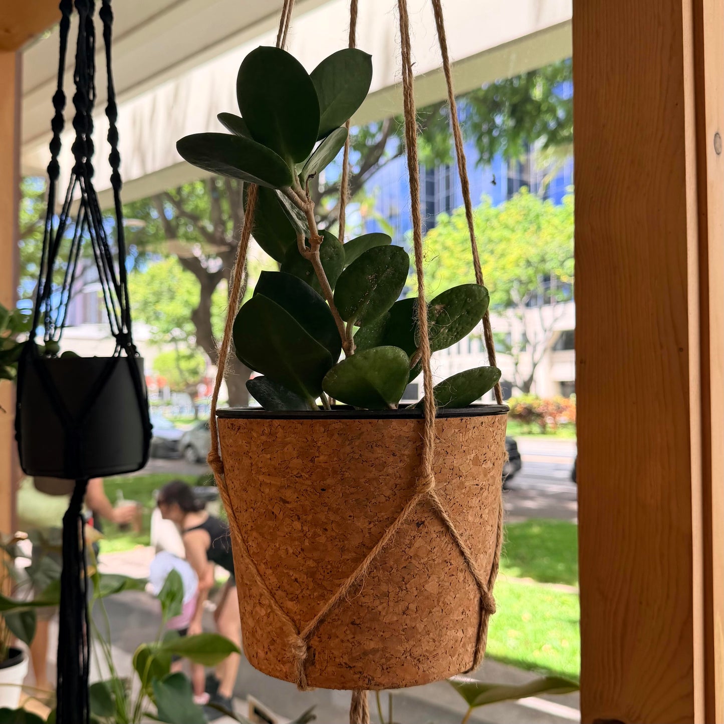 7" Cork Planter Pot
