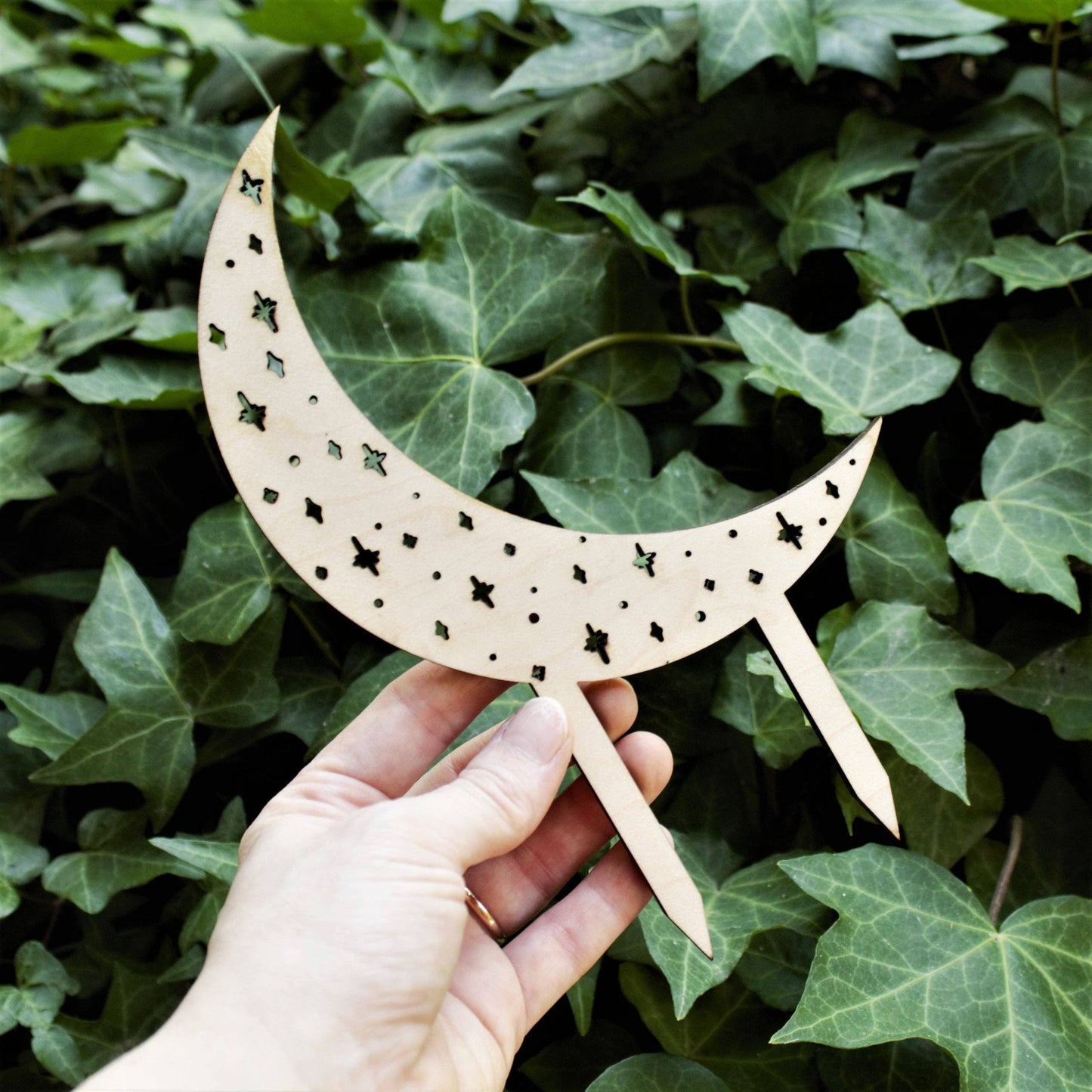 Moon and Stars Plant Trellis