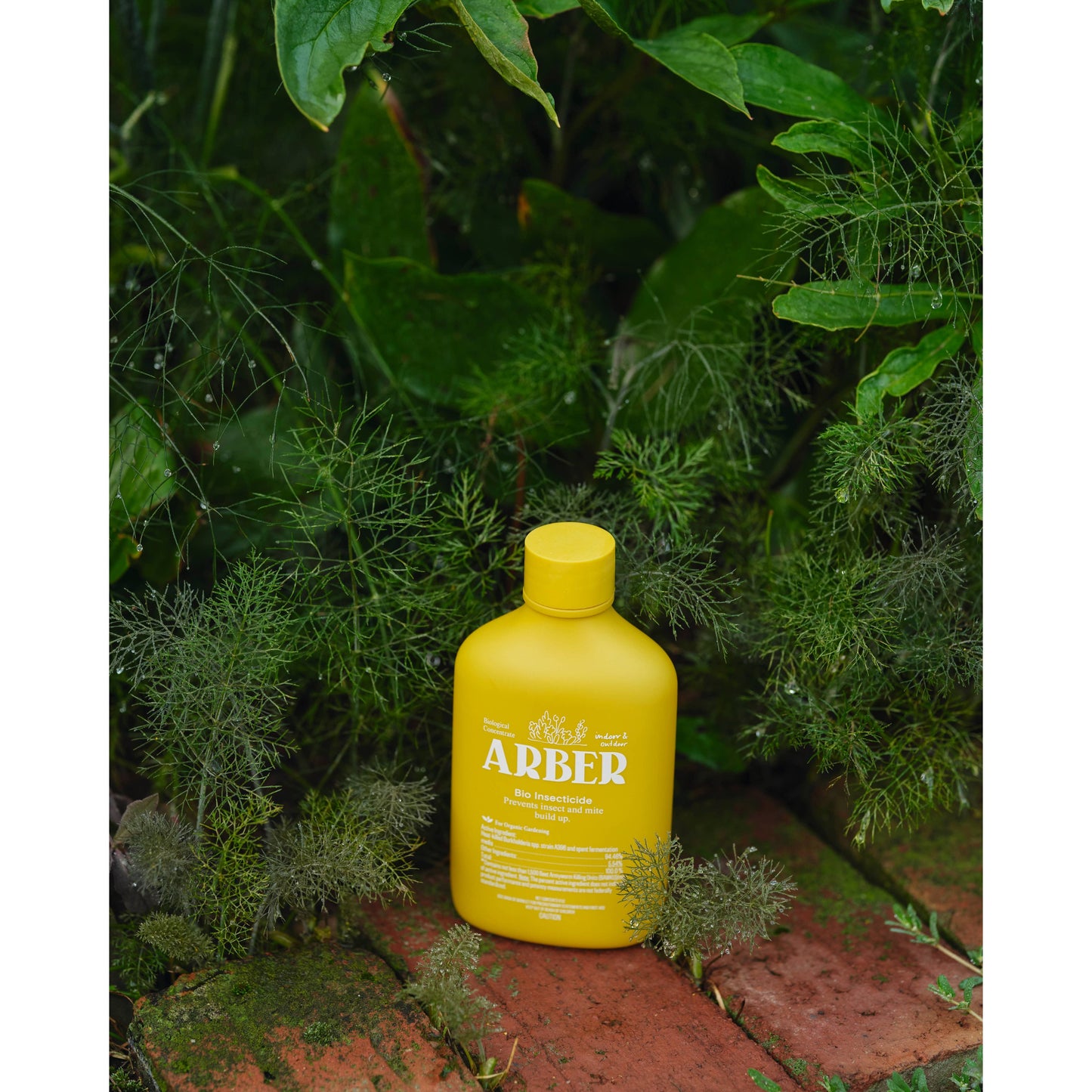 Organic Arber Bio Insecticide 8oz