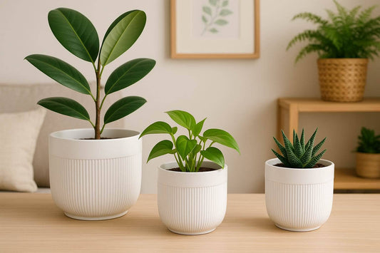Modern Ribbed White Planter