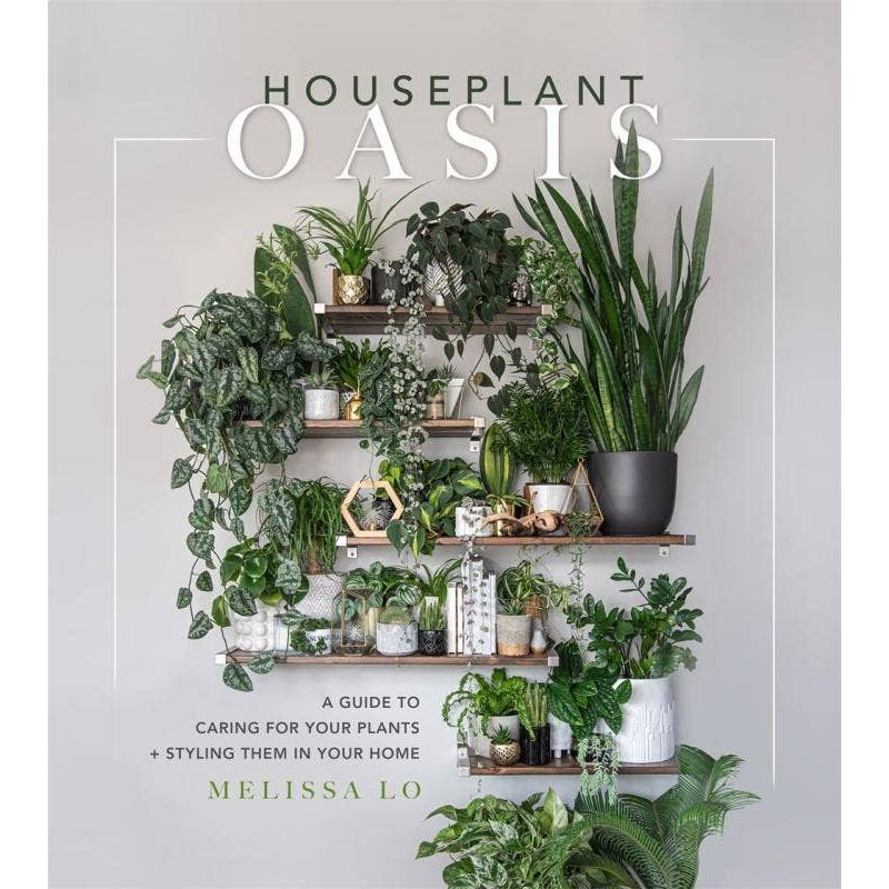Houseplant Oasis