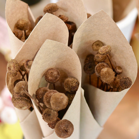 MUG Dried Flower Mini Bundles