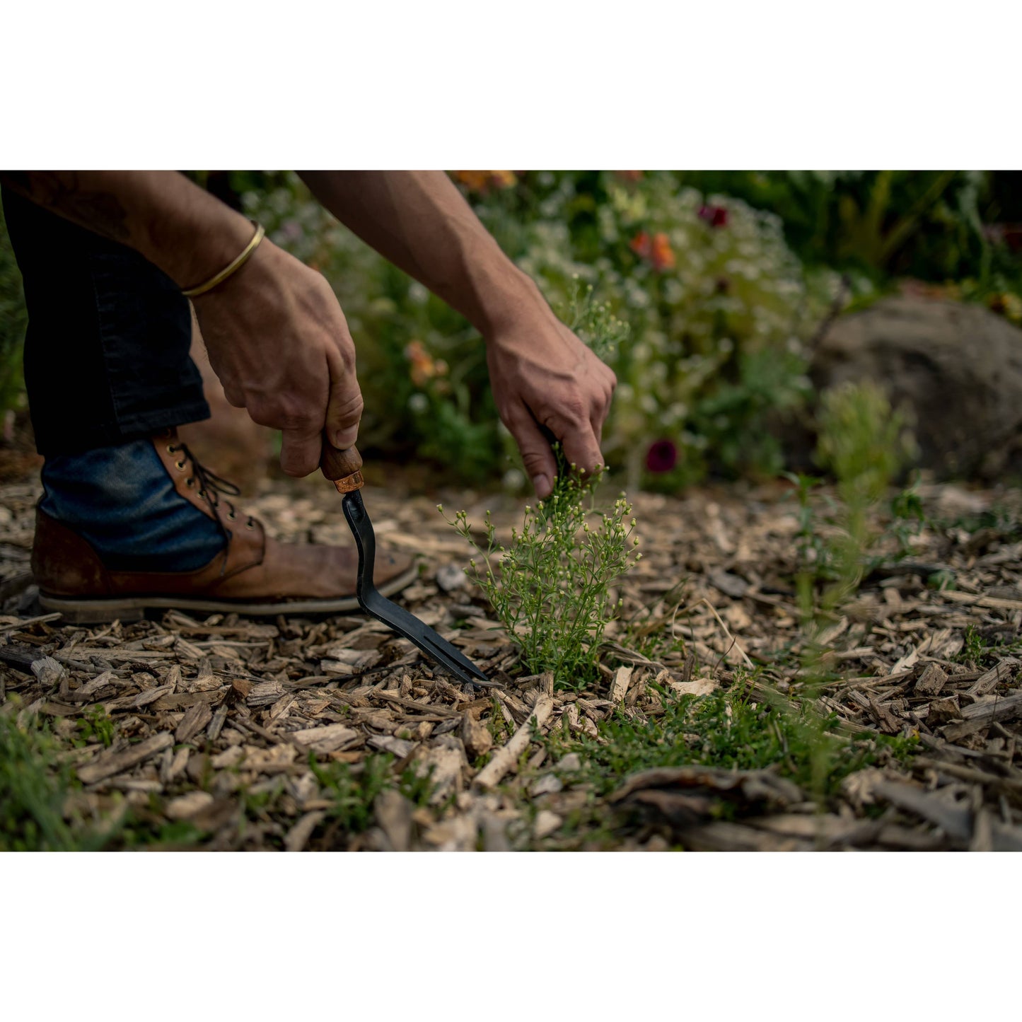 Dandelion Weeding Fork
