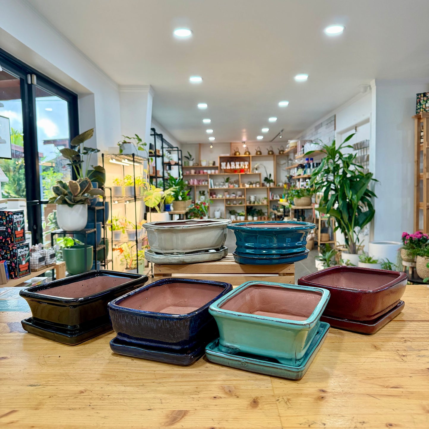 Bonsai Planter Pots