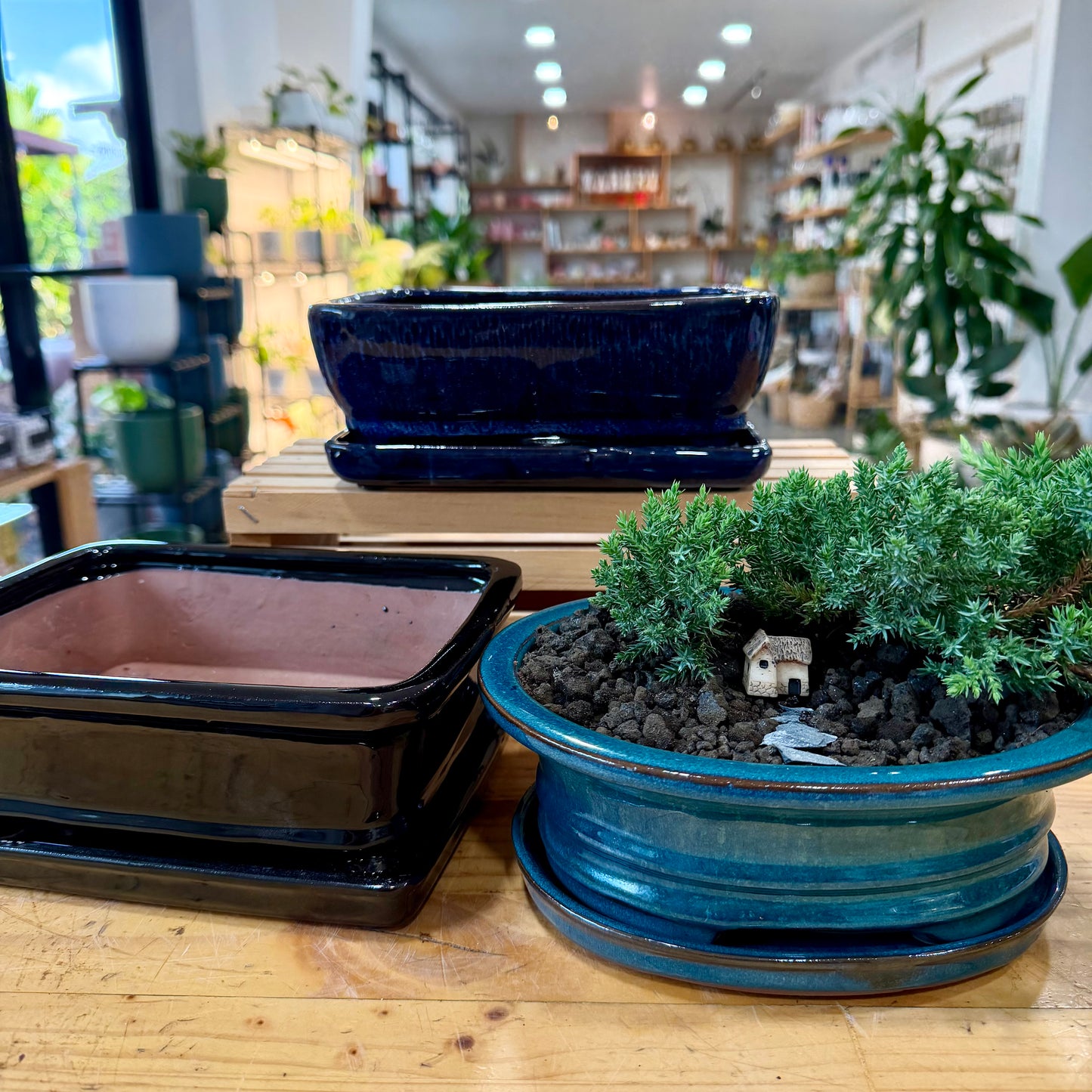 Bonsai Planter Pots