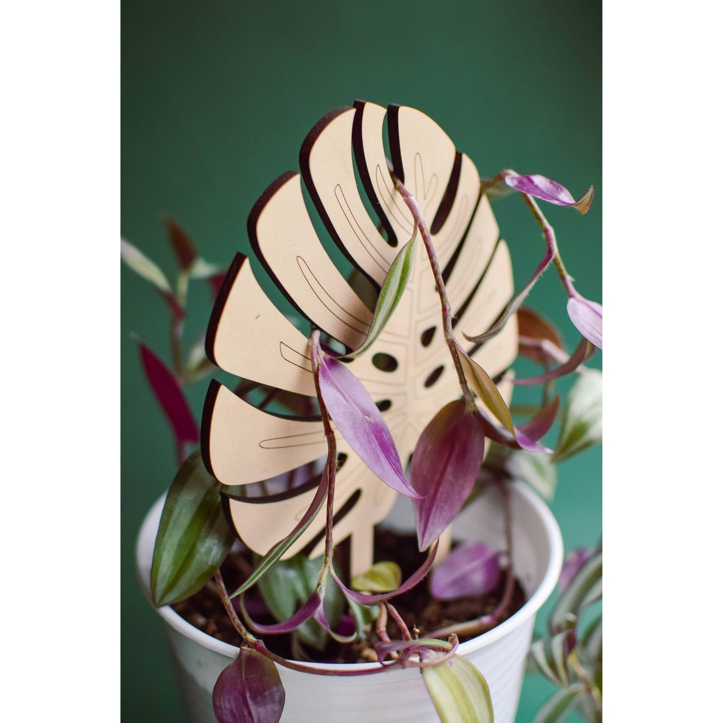 Monstera Leaf Trellis