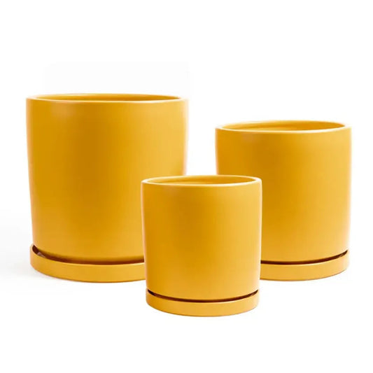 Cylinder Pots w/ Water Saucers