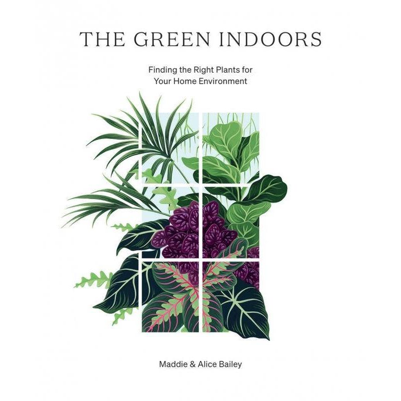 Green Indoors: Finding the Right Plants for Your Home