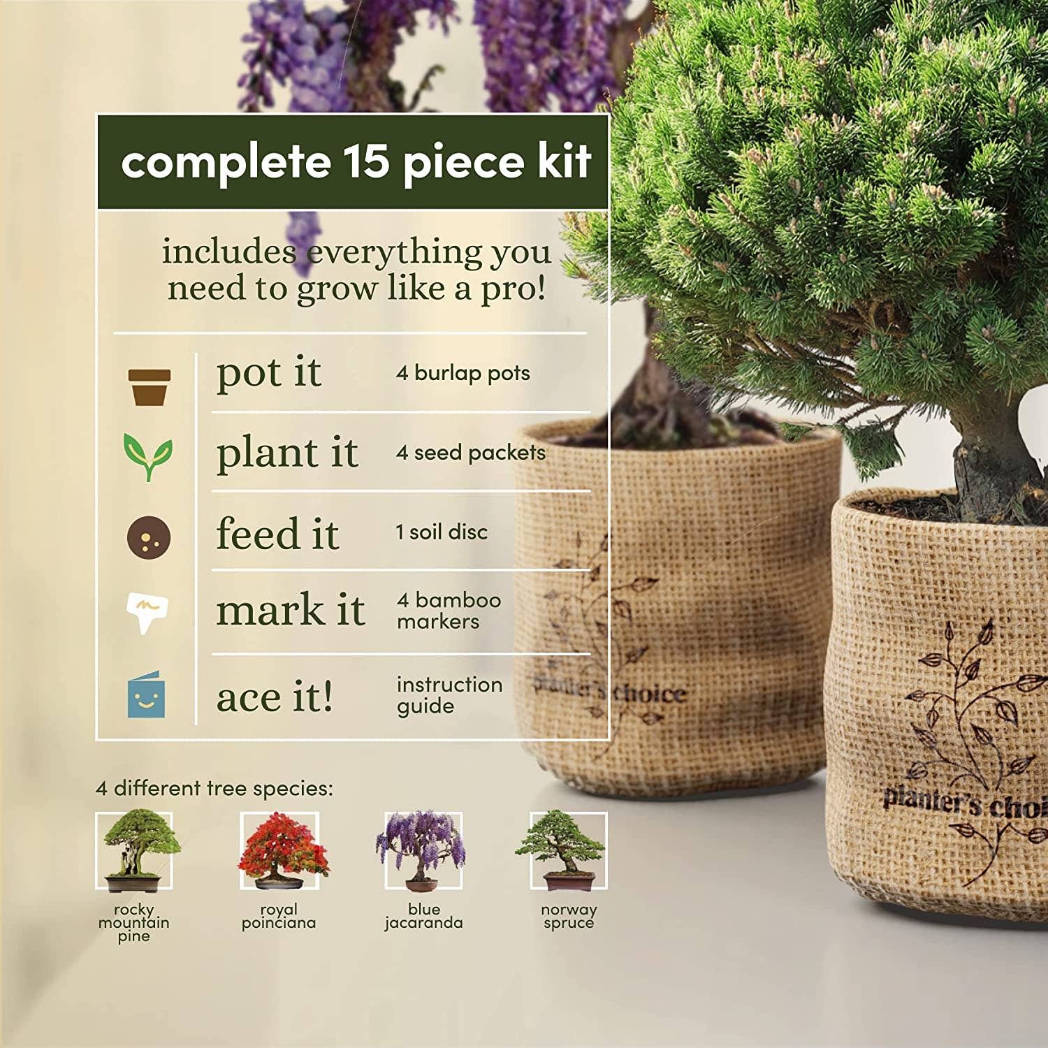 best bonsai tree kit Complete Mini Bonsai Starter Kit