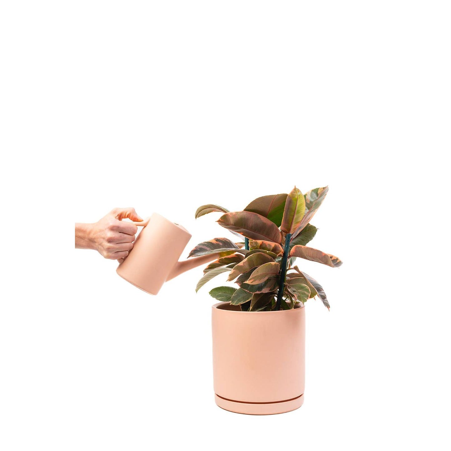 Gemstone Watering Cans