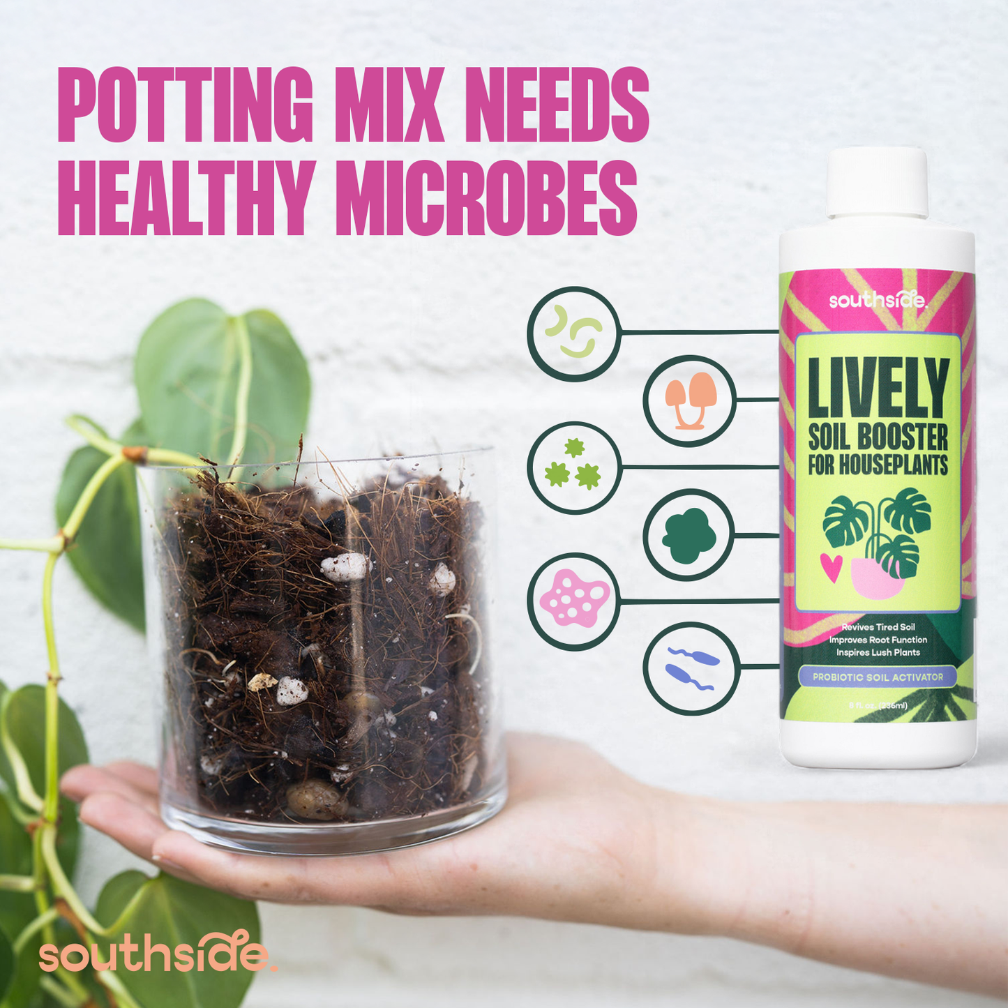 Lively Soil Booster for Houseplants