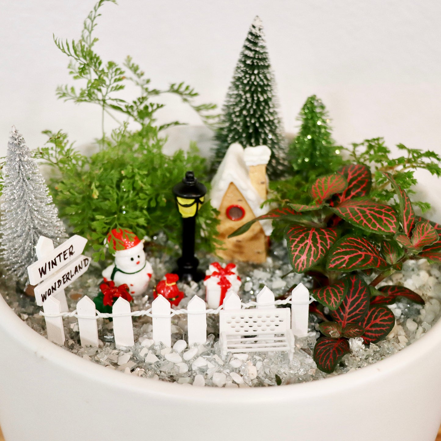 Winter Wonderland Fairy Garden Workshop