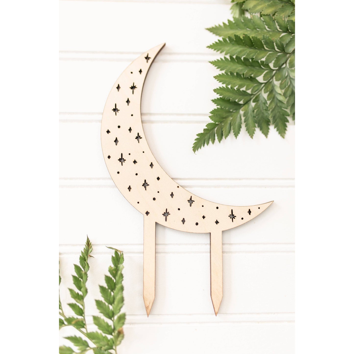 Moon and Stars Plant Trellis