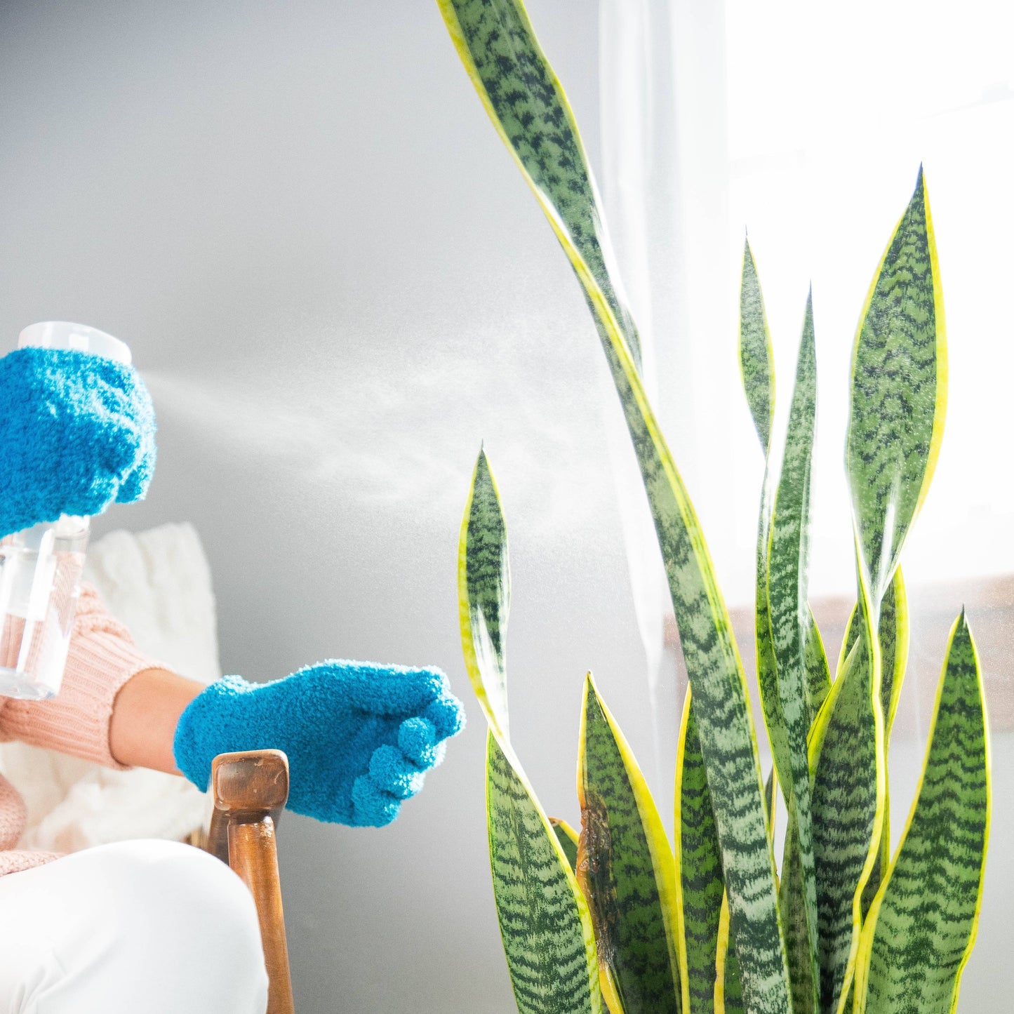 Micro-Fiber Gloves for Cleaning Houseplants + Indoor Gardens
