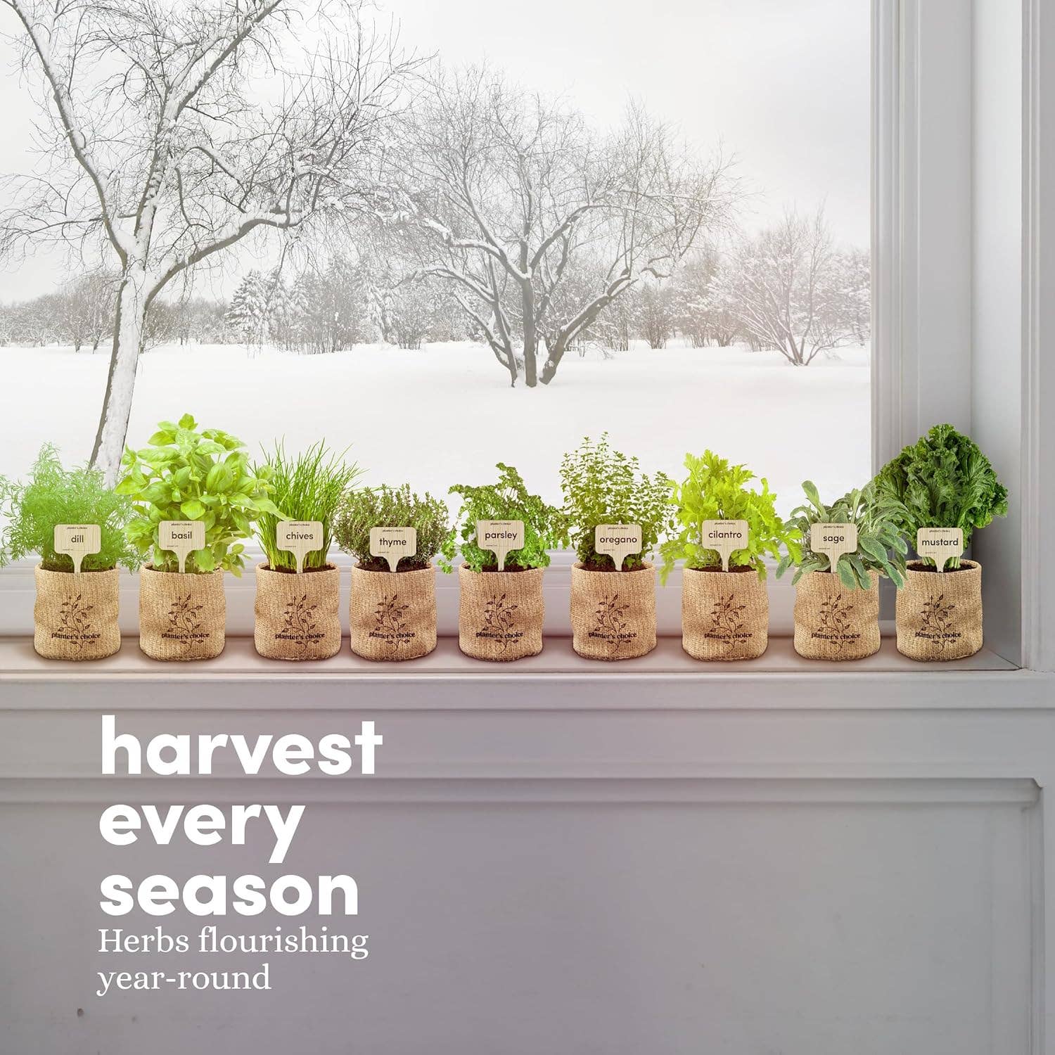 herb garden planter indoor Planters' Choice 9 Herb Indoor Window Garden Kit - House Plants Seeds