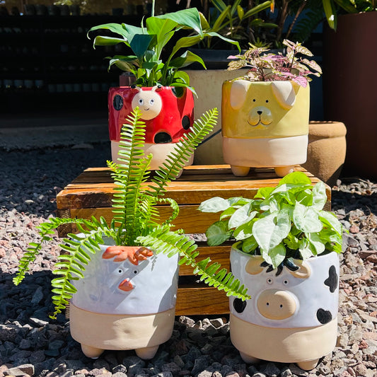 9" Animal Planters