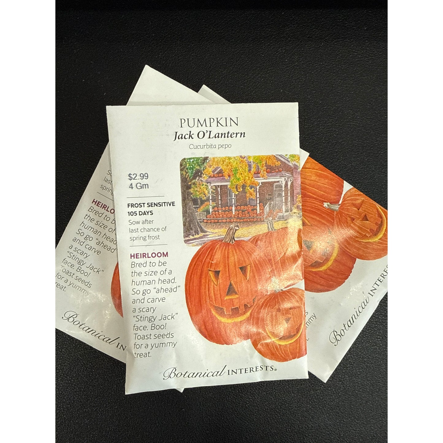 Pumpkin seeds, "Jack O'Lantern"