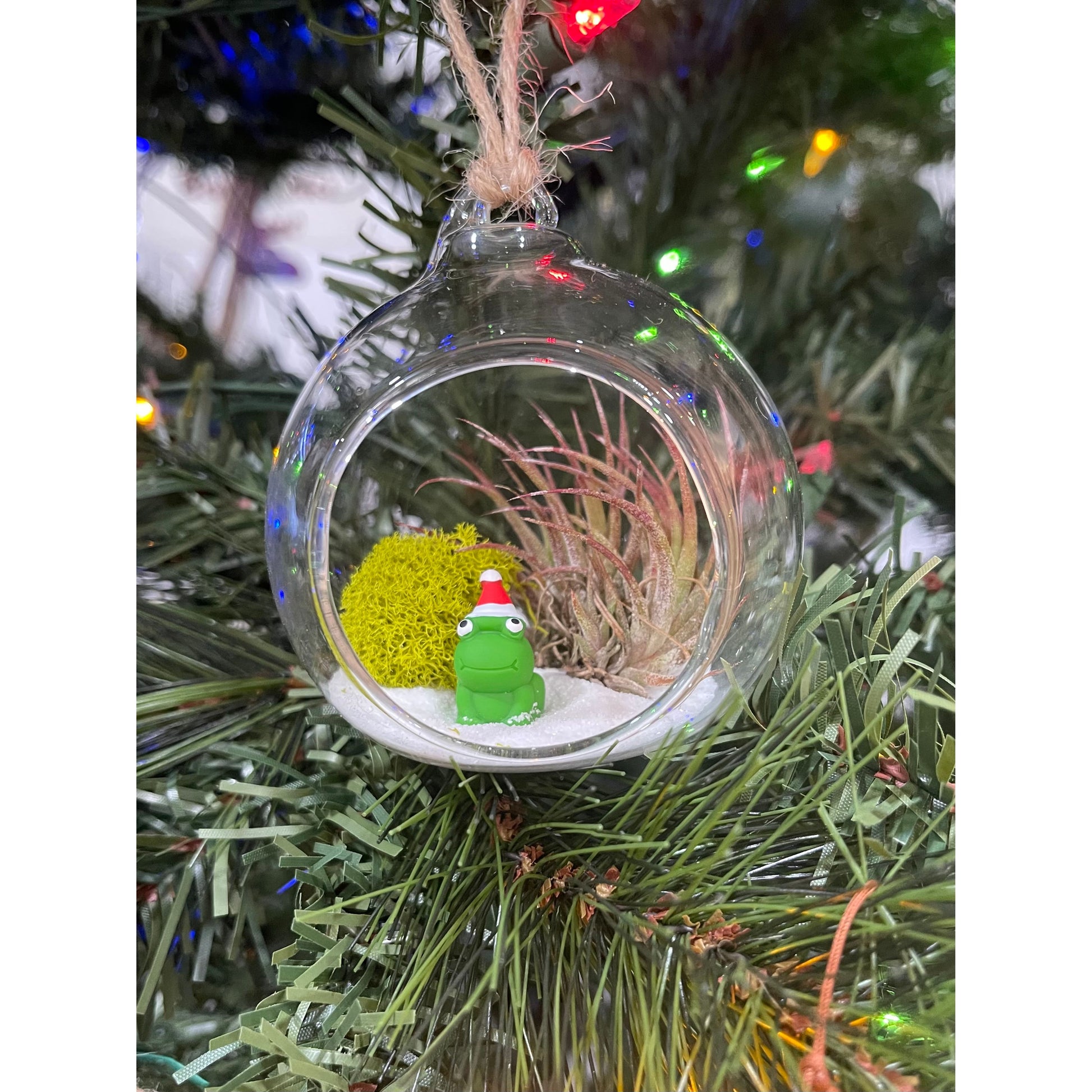 air plant christmas ornament Terrariums Igloo Ornament/Hanging