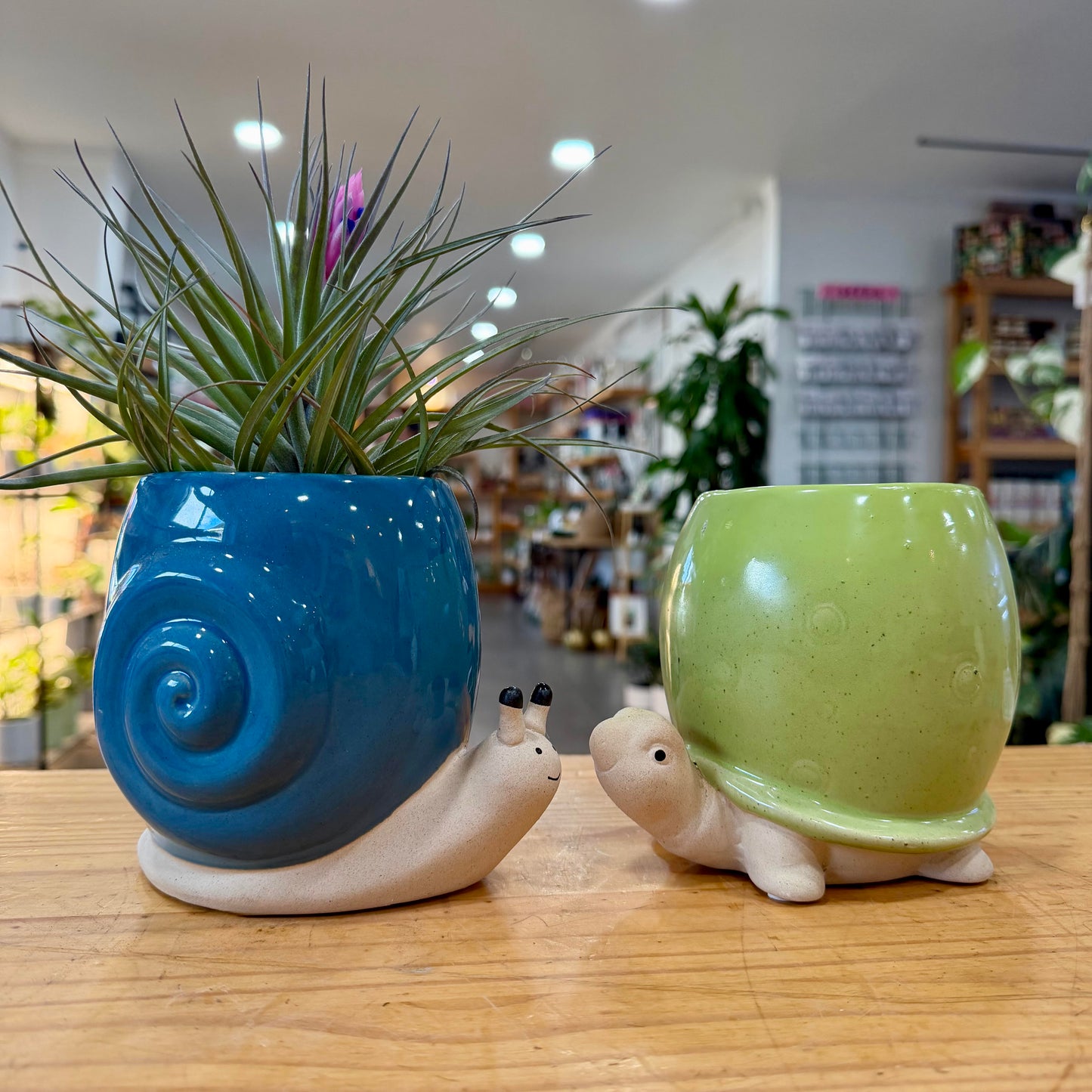 Animal Planter