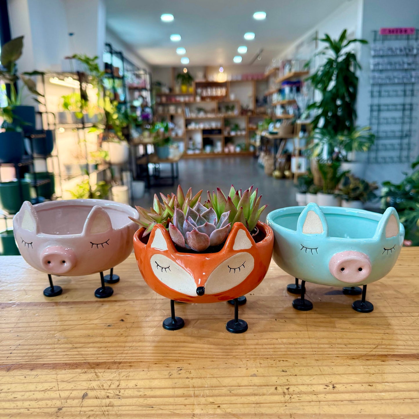 Animal Succulent Planters