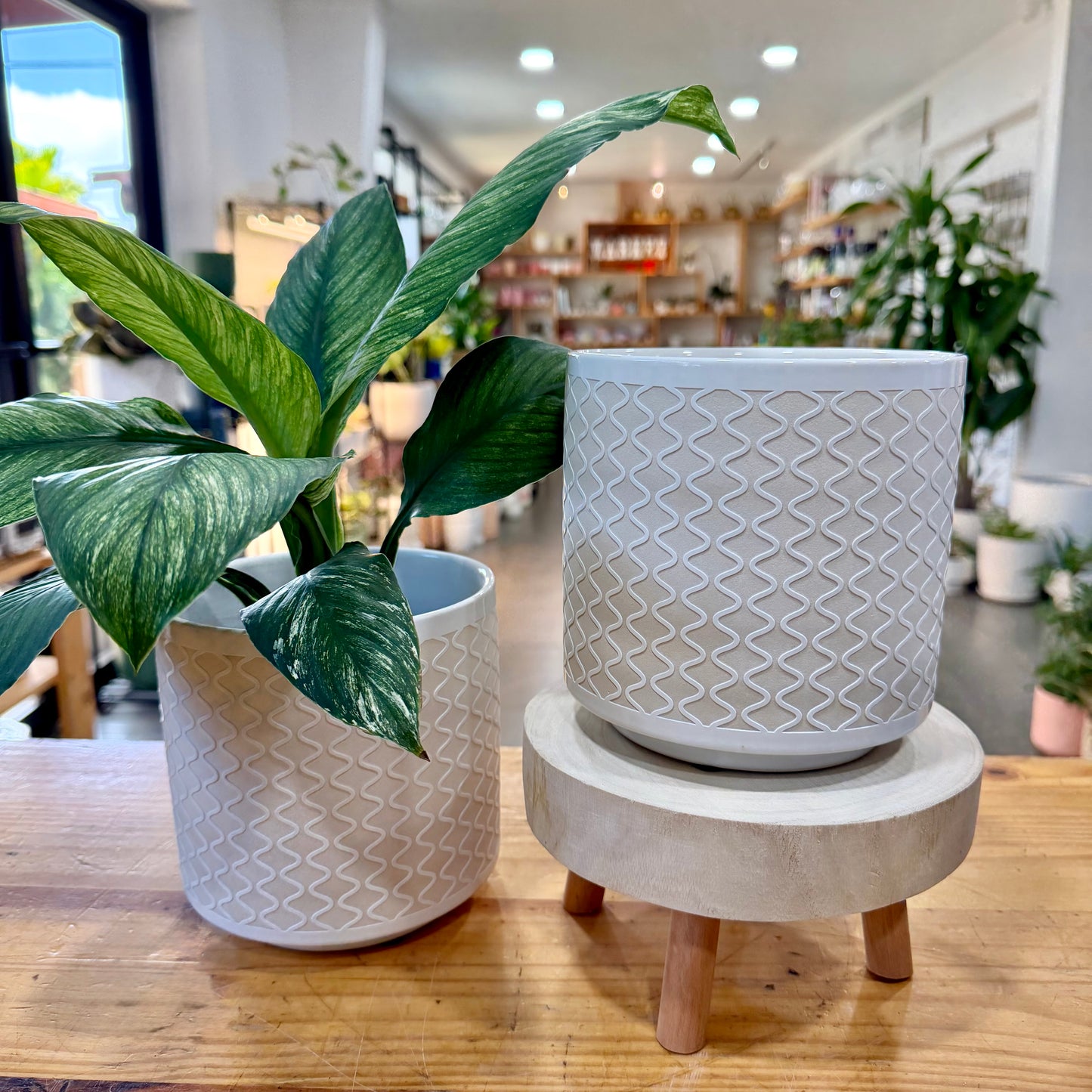 Ariel Planter