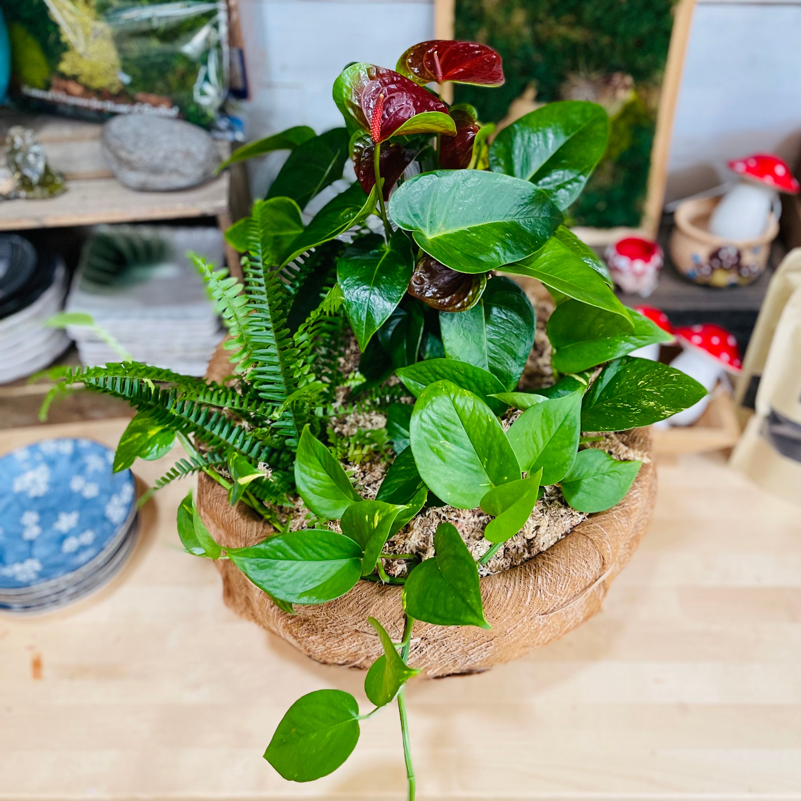 Arrangements – Mari's Gardens