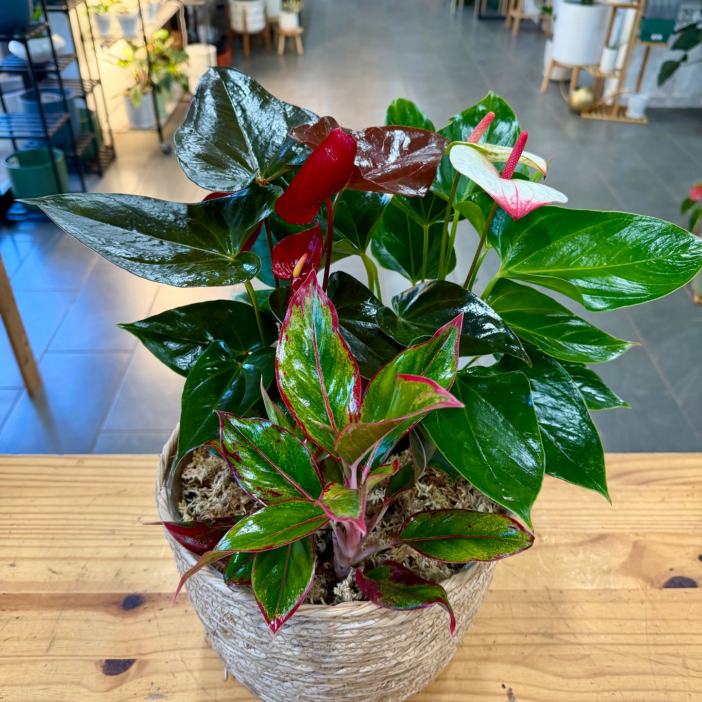 Basket Arrangements