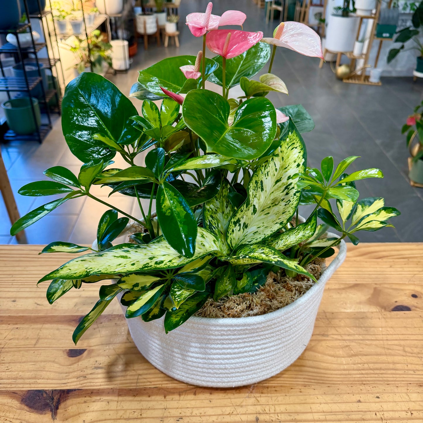 Basket Arrangements