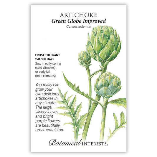 Artichoke seeds Green Globe Improved'