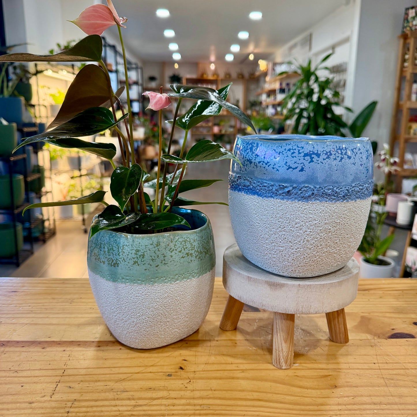 Aubree Planter